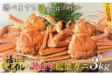 102.【活】訳あり　松葉ガニおまかせ3kg（5～8枚）※2025年11月上旬～2026年3月下旬頃に順次発送予定※着日指定不可