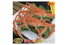 100.【ボイル】訳あり　松葉ガニ　2枚◇※2025年11月上旬～2026年3月下旬頃に順次発送予定※着日指定不可