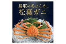＜10/1～寄附額改定＞【早期受付】【ボイル】訳あり　松葉ガニおまかせ3kg（5～8枚）《かに カニ 蟹 ズワイガニ》※着日指定不可※2025年11月上旬頃から順次発送予定