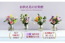 675.【お供え花の定期便12ヶ月】お仏壇用生花（一束）を毎月月命日にお届けします。