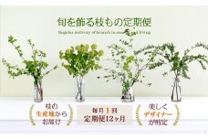 674.【月1回・12ヶ月定期便】旬をかざる枝もの定期便（年12回）＋初回ガラスベース付き