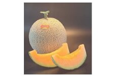 1010.プリモレッドメロン約4ｋｇ（2～3玉）