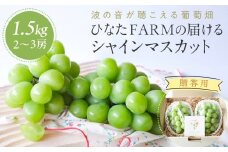 【贈答用】波の音が聴こえる葡萄畑 ひなたFARM シャインマスカット【シャインマスカット マスカット 果物 フルーツ シャイン ぶどう 葡萄 鳥取県産 鳥取 北栄町 おすすめ 人気 ギフト 贈答品】