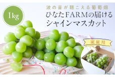 【家庭用】波の音が聴こえる葡萄畑 ひなたFARM シャインマスカット【シャインマスカット マスカット 果物 フルーツ シャイン ぶどう 葡萄 鳥取県産 鳥取 北栄町 おすすめ 人気】