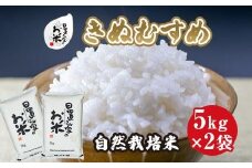 167.日置さん家の自然栽培米「きぬむすめ」無洗米　5kg×2袋 2025年産