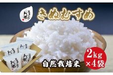 171.日置さん家の自然栽培米「きぬむすめ」精米　2kg×4袋 2025年産