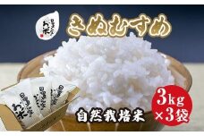 170.日置さん家の自然栽培米「きぬむすめ」無洗米　3kg×3袋 2025年産