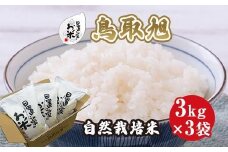 197.日置さん家の自然栽培米「鳥取旭」無洗米　3kg×3袋 2025年産
