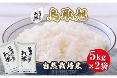 194.日置さん家の自然栽培米「鳥取旭」無洗米　5kg×2袋 2025年産