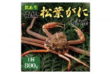 1047.【2025年11月発送】特撰 松葉がに（なま）【訳あり】800g超の大きいサイズ 食べ応えあり 特大1杯