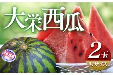 ＼2026年産先行予約／大栄西瓜（すいか） M ２玉 ※2026年6月中旬～7月中旬頃に順次発送予定 | 西瓜 スイカ 大栄すいか 果物 フルーツ くだもの 鳥取県 北栄町 おすすめ 人気 送料無料