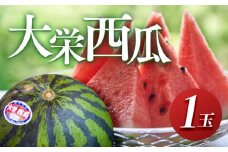 ＼2026年産先行予約／大栄西瓜（すいか） 1玉（高間商店）※2026年6月中旬～7月中旬頃に順次発送予定 | 西瓜 スイカ 大栄すいか 果物 フルーツ くだもの 鳥取県 北栄町 おすすめ 人気 送料無料