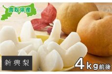 新興梨　4kg
