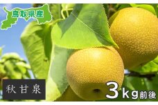 プレミアム秋甘泉　3kg前後