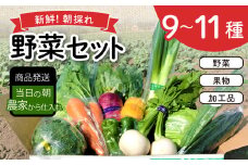 新鮮朝採れ野菜セット【 新鮮野菜 9~11種類 季節 旬 野菜 果物 詰め合せ 国産 おまかせ 葉物 根菜 冷蔵 野菜室 加工品 鳥取県産 季節限定 山菜 加工品】