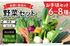 新鮮朝採れ野菜　お手頃セット【 新鮮野菜 6~8種類 季節 旬 野菜 果物 詰め合せ 国産 おまかせ ミニセット 葉物 根菜 冷蔵 野菜室 加工品 鳥取県産 季節限定 山菜 加工品】