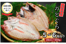 KI03：鳥取県産のどぐろ一夜干し（小５～６枚）