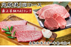 TK01：【3回定期便】A5等級！鳥取和牛ステーキ食べ比べ