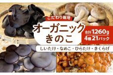 オーガニックきのこバラエティセット【きのこ セット しいたけ きくらげ ひらたけ なめこ キノコ 詰め合わせ 鳥取県産】