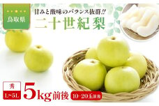二十世紀梨　秀5kg前後【梨 20世紀 5kg 二十世紀 先行予約 期間限定 数量限定 なし ナシ 鳥取県】