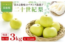 二十世紀梨　特選3kg
