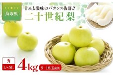 二十世紀梨　秀4kg 
