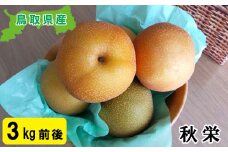 秋栄　3kg【梨 秋栄 3kg 赤梨 先行予約 期間限定 数量限定 なし あきばえ ナシ 鳥取県】