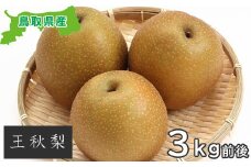 プレミアム王秋梨　3kg
