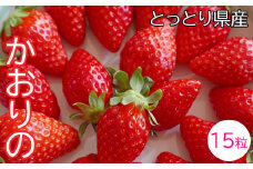 OT01：鳥取県産いちごかおりの　ギフト箱　15粒