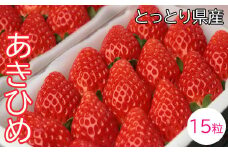 OT02：鳥取県産いちごあきひめ　ギフト箱　15粒