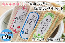 IW03：鳥取県産大山こむぎ麺セット（パスタ・粒うどん・冷麺）9袋