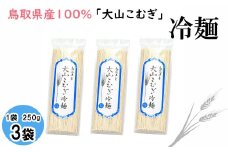 IW10：鳥取県産大山こむぎ冷麺3袋