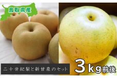 二十世紀梨と新甘泉のセット　3kg