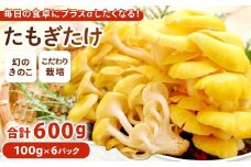 たもぎ茸 ６パック【タモギ茸 きのこ たもぎ茸 キノコ セット 茸 詰め合わせ たもぎたけ タモギタケ エルゴチオネイン だし 出汁】