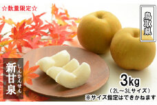 鳥取県産 新甘泉梨　3kg