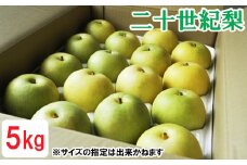 鳥取県産 二十世紀梨　5kg
