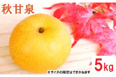 鳥取県産 秋甘泉梨　5kg
