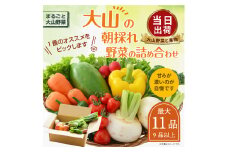 MS-02　新鮮朝採れ野菜セット