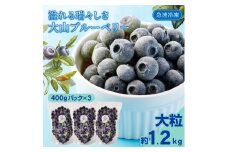MS-30　冷凍ブルーベリー1.2kg