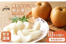 【先行予約】DS-03　新甘泉梨（しんかんせんなし）（５ｋｇ）