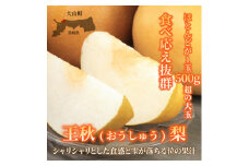 【先行予約】DS-08　王秋梨（おうしゅうなし）（５ｋｇ）