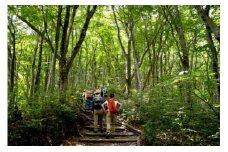 TO-02　大山トリビア登山（引換券）