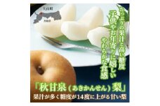 【先行予約】DS-04　秋甘泉梨（あきかんせんなし）（５ｋｇ）