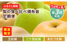 【先行予約】DS-11　梨の食べ比べ定期便（二十世紀梨・あきづき梨・王秋梨）