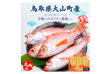 OM-05　白身のトロ「のどぐろ」4匹（冷凍）