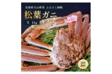 OM-26　ブランドタグ付生松葉ガニ（特大約1kg）【11月下旬以降発送】