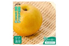 DS-06　南水梨（なんすいなし）（５ｋｇ）