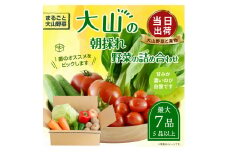 MS-01　新鮮朝採れ野菜　お手ごろセット