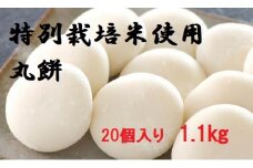 MS-23 大山のお米を使った丸餅（20個入り　1.1kg）