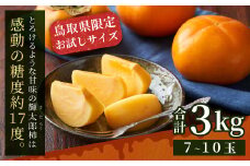 JK-01　大きくて甘い柿「輝太郎（きたろう）」（3kg）【9月下旬～10月上旬から随時発送】